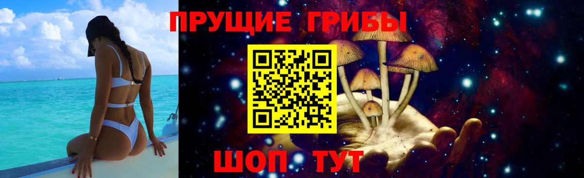 Галлюциногенные грибы Psilocybe  Вход с VPN  Юрга 