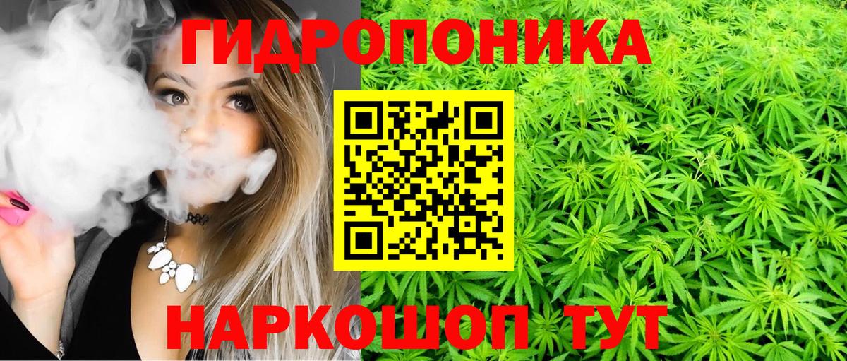 Юрга  Бошки марихуана сатива  Шишки марихуана план  Вход с VPN 